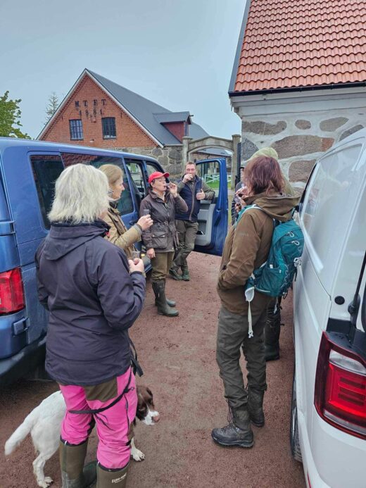 ÖPPEN TRÄNING - Vattenträning