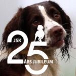 17 MAJ JUBILEUMSMIDDAG